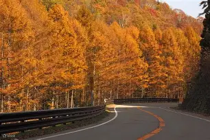 金年会官方在线入口-C?	驒q缑b-b?軿蚗9(粖骞村鏆戞槸鍑狅拷019锟藉嚑aa86)